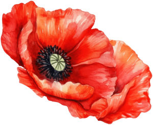 De hemel op aarde logo