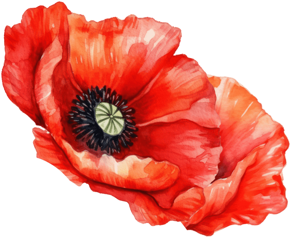 De hemel op aarde logo